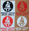 Seat Belts.jpg (77026 bytes)